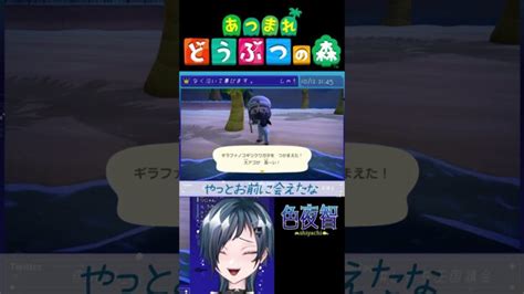 【切り抜きあつ森】ギラファノコギリクワガタ、会いたかったよべいべ【色夜智vtuber】shorts あつ森 動画まとめ