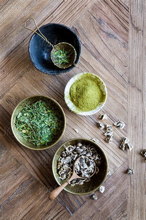 "Superfood Moringa In Various Stages" by Stocksy Contributor "Nadine ...