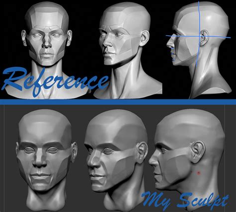 Using Anatomy To Improve Your Sculpting Zbrush Anatomy And Character