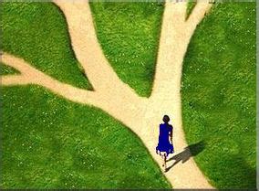 choosing  career exploring  paths  success bbcs counseling career coaching services