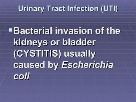 Genito Urinary System Ppt