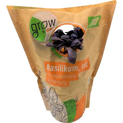 Grow By Obi Bio Basilikum Topf Ca Cm Ocimum Basilicum Kaufen