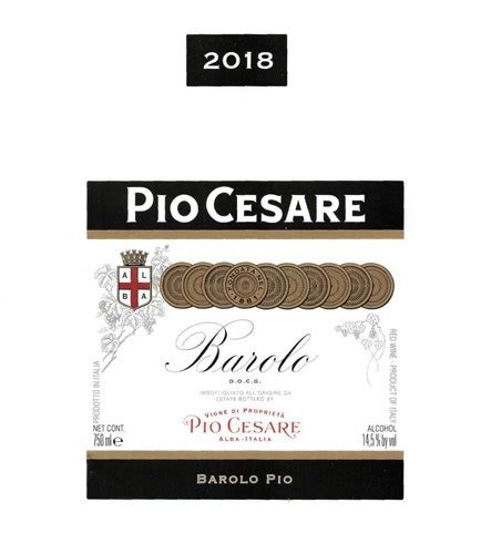 Pio Cesare 2019 Pio Nebbiolo Barolo Rating And Review Wine Enthusiast