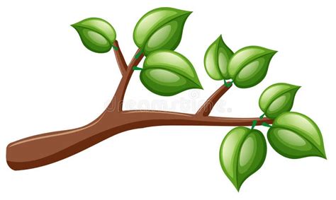 Green Tree Branch With Leaves Stock Illustration - Illustration of forest, decor: 27535483