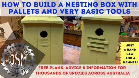 Diy Nesting Box Bird House From Pallets And Cheapest Tools How To Australian Parrot Free