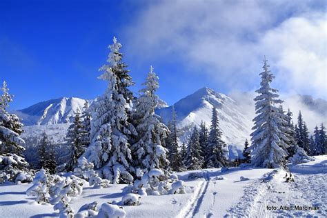 Tatry Szlak Zimowy Z Ku Nic Do Doliny G Sienicowej