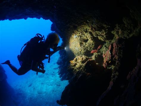 Scuba Diving in Cebu: The 7 Best Dive Regions on Cebu [2024 Guide ...