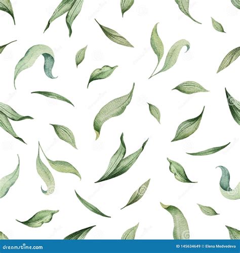 Watercolor Vector Seamless Pattern Of Green Leaves Isolated On White