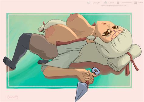 Impa Hyrule Warriors By SacaS11 Hentai Foundry