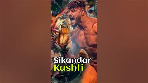 Sikandar Shaikh Kushti 🔥🔥 Kushti Dangal Dangal Dangal Kushti Viral Shorts Youtube