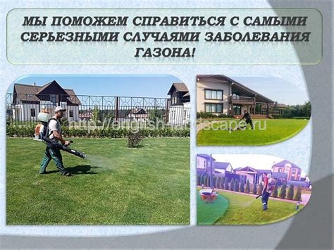 Услуги по уходу за газоном в Москве и Московской области