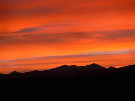 Global Conservation Institute