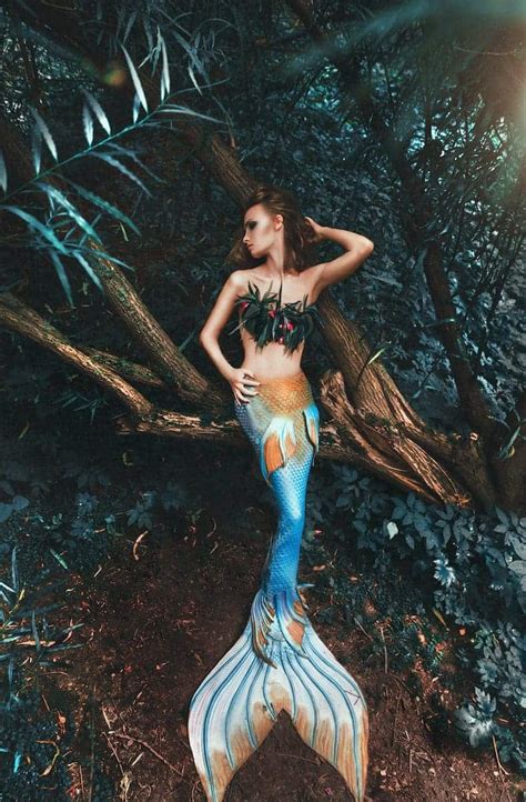 Siren vs Mermaid: Difference and Comparison