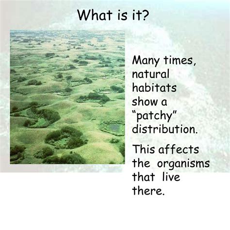 SOLUTION: Habitat Loss and Fragmentation Its Importance, Causes
