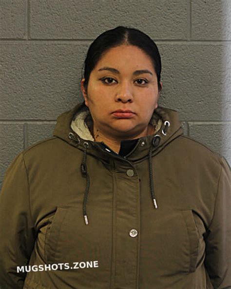 Rosario Brito Chicago Mugshots Zone