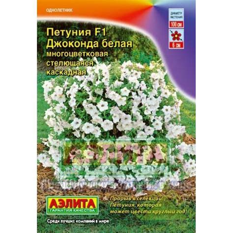 Петуния Джоконда F1 белая ️ купить по цене 36 ₽/шт. в Москве с ...