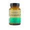 Ashwagandha Kapsu Ek Primabiotic Primabiotic Naturalne Suplementy