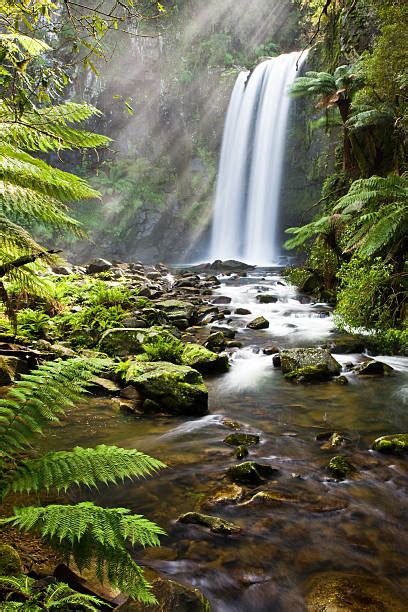 660 Otway Ranges Foto Foto Stok Potret And Gambar Bebas Royalti Istock