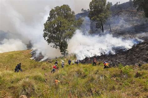 Sebanyak 69 Pendaki Dievakuasi Tim Gabungan Kebakaran Hutan Dan Lahan