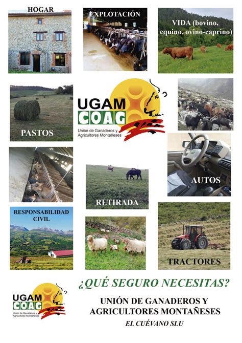 Seguros Agrarios Ugam Coag Uni N De Ganaderos Y Agricultores Monta Eses