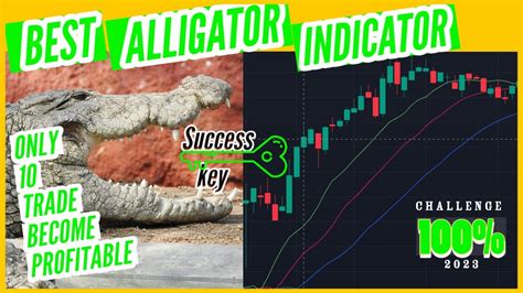 Best Williams Alligator Strategy For Day Trading Forex Stockmarket