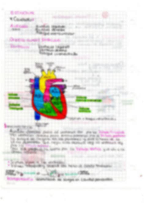 Solution Resumen Fisiologia Sist Cardiaco Studypool