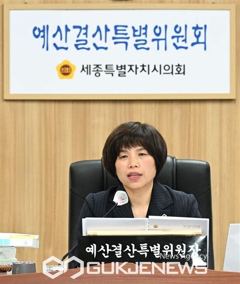 세종시 예결특위 시청 및 교육청 23년 회계연도 결산 심사 의결