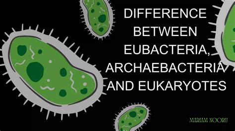 DIFFERENCES BETWEEN EUBACTERIA, ARCHAEBACTERIA AND EUKARYOTES.pptx