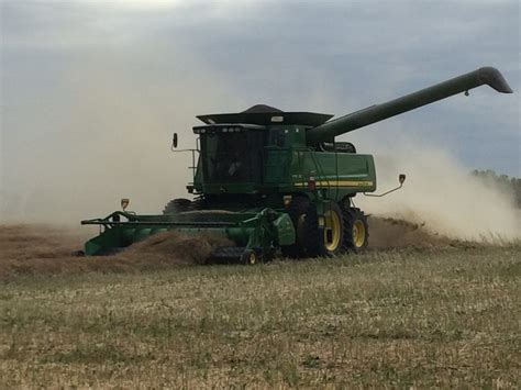 Report Shows Wheat, Canola Production To Drop - SteinbachOnline.com ...