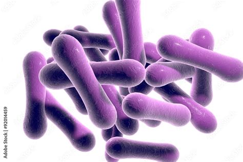 Microscopic Illustration Of Corynebacterium Diphtheriae Gram Positive