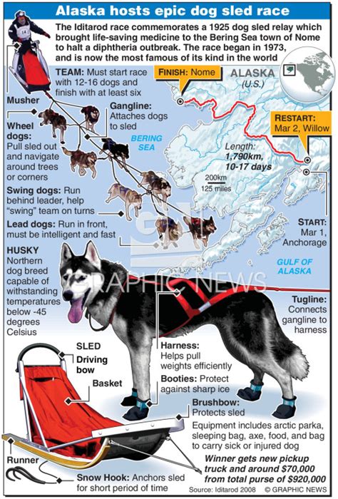 Sled Dog Race Alaska 2008 Infographic