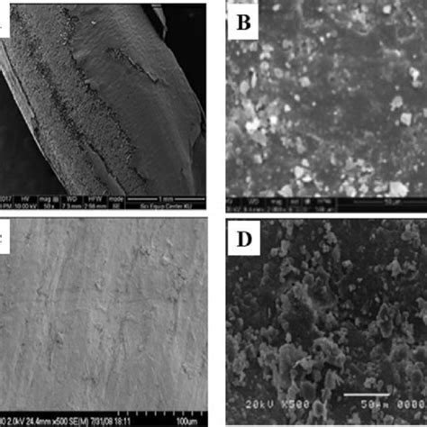 Scanning Electron Microscopy Micrographs Of Rice Grain Before A D And