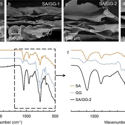 SEM And FTIR Of SA GG Composite Hydrogel After Freeze Drying Ad SEM