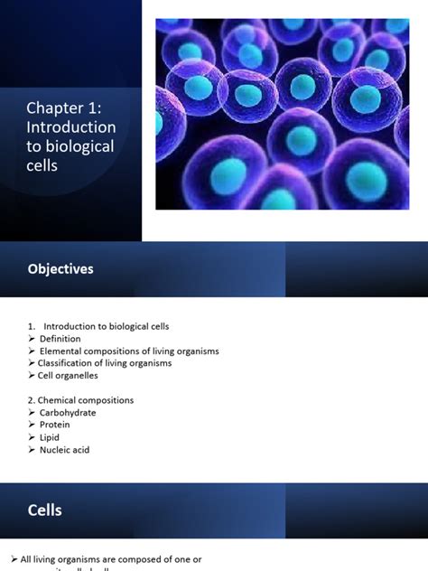 Biochem Chap 1 Introduction To Biological Cells Pdf Cell