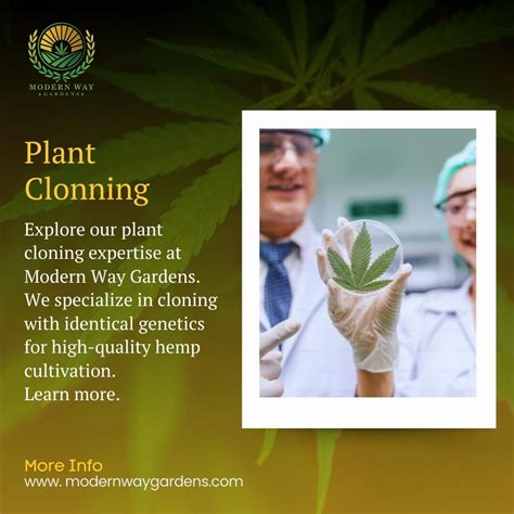 Plant Cloning Expertise | Modern Way Gardens