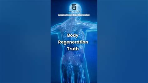 Did You Know About Amazing Power Of Human Body Regeneration Facts Science Humanbody Youtube