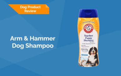 7 Best Dog Shampoo Brands | How to Pick one? Buying Guide