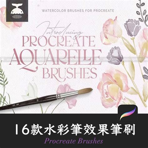 「procreate筆刷」16個水彩筆效果筆刷ipad繪畫設計素材procreate Brushes 蝦皮購物