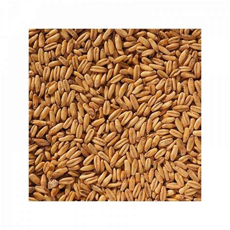 Crisp Naked Oat Malt Havremalt Uten Skall Beergear No