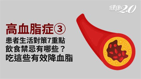 高血脂症／降血脂7大生活對策！避開10大高膽固醇食物 9種功能性食物有效降血脂照護醫學百科