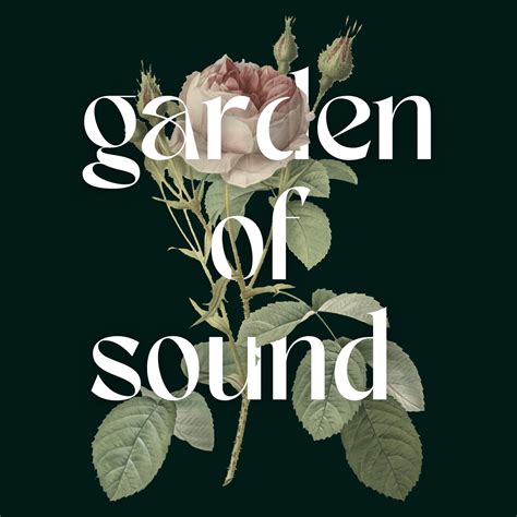 Garden Of Sound By Shadows And Sound Jun 17 2023 3853 N St Marys St