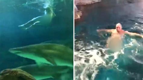 Naked Man Jumps Into Shark Tank At Aquarium Youtube