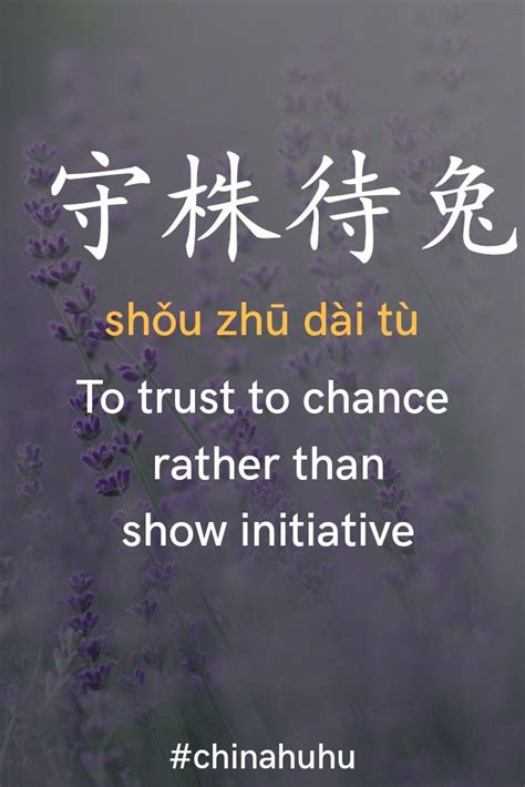 Learn Chinese Idioms for Every Occasion