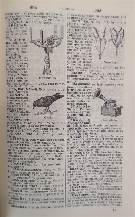 Diccionario Manual E Ilustrado De La Lengua Espanola Von Real Academia