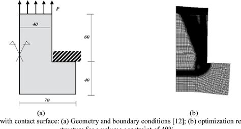 Figure 14 From A Model Of Bone Adaptation As A Topology Optimization