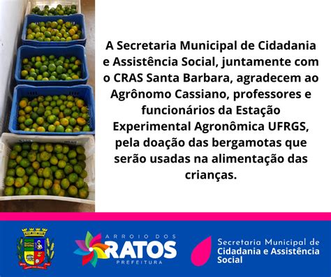 Estação Experimental Agronômica da UFRGS realiza doação de bergamotas