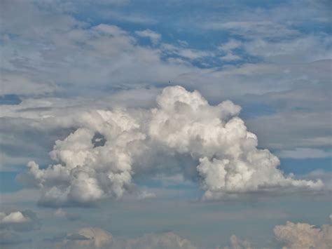 Banco de imagens nuvem céu branco atmosfera dia clima Cumulus