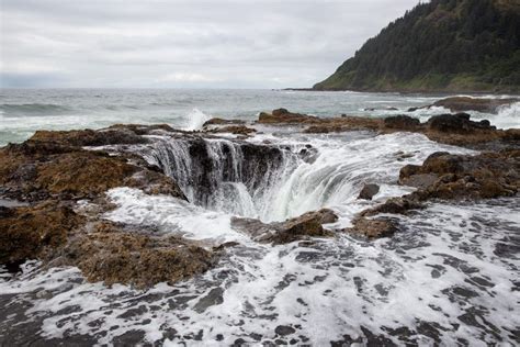 8 Things To Do At Cape Perpetua In Oregon Carltonauts Travel Tips