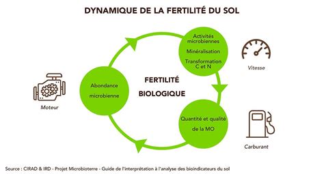 Mesurer La Fertilité Du Sol Outils Et Méthodes Terreom Formation