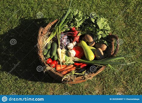 Diferentes Legumes Frescos Maduros No Cesto De Wickles Na Vista De Cima